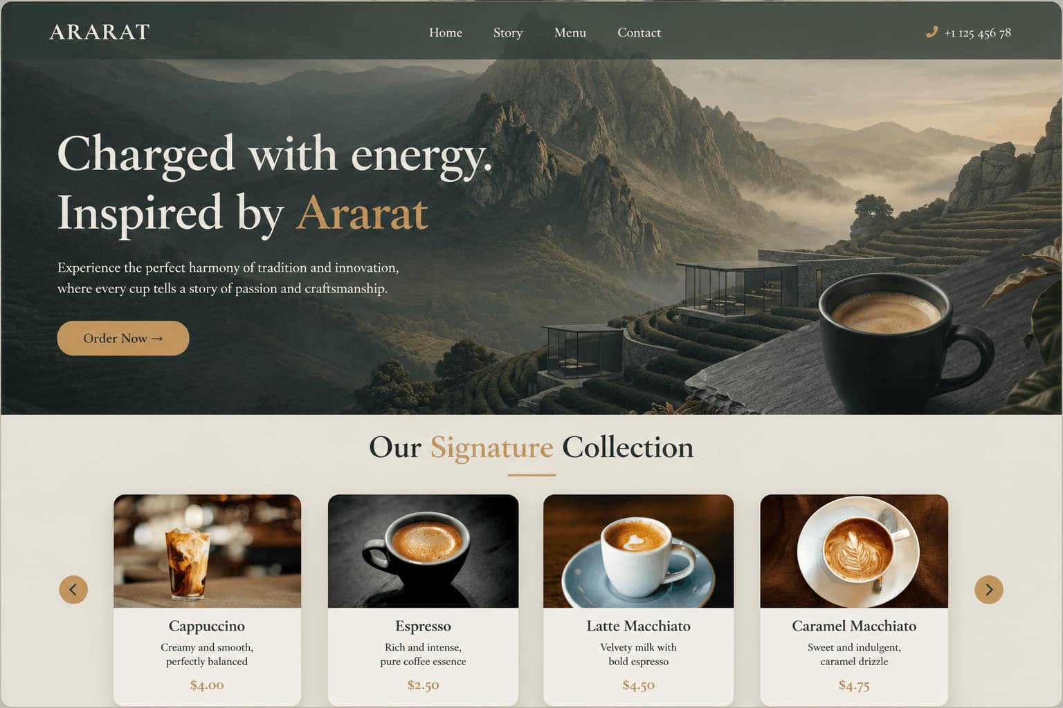 Aarata Website Preview